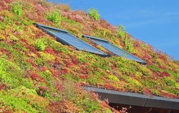 Barlow Moor living roof systems